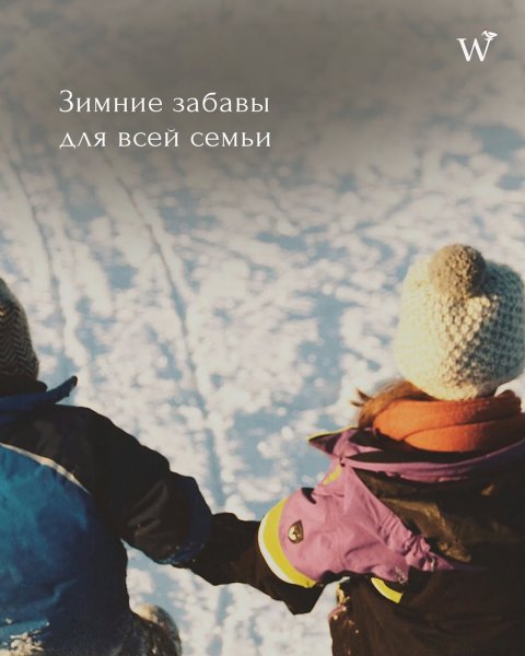 Новый год в парк-отеле WOOD WOOD WOOD